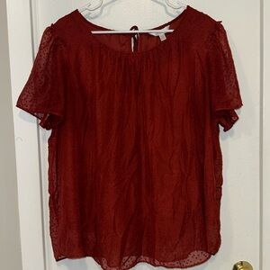 LC Lauren Conrad Sheer Short Sleeve Blouse - Size 2X
